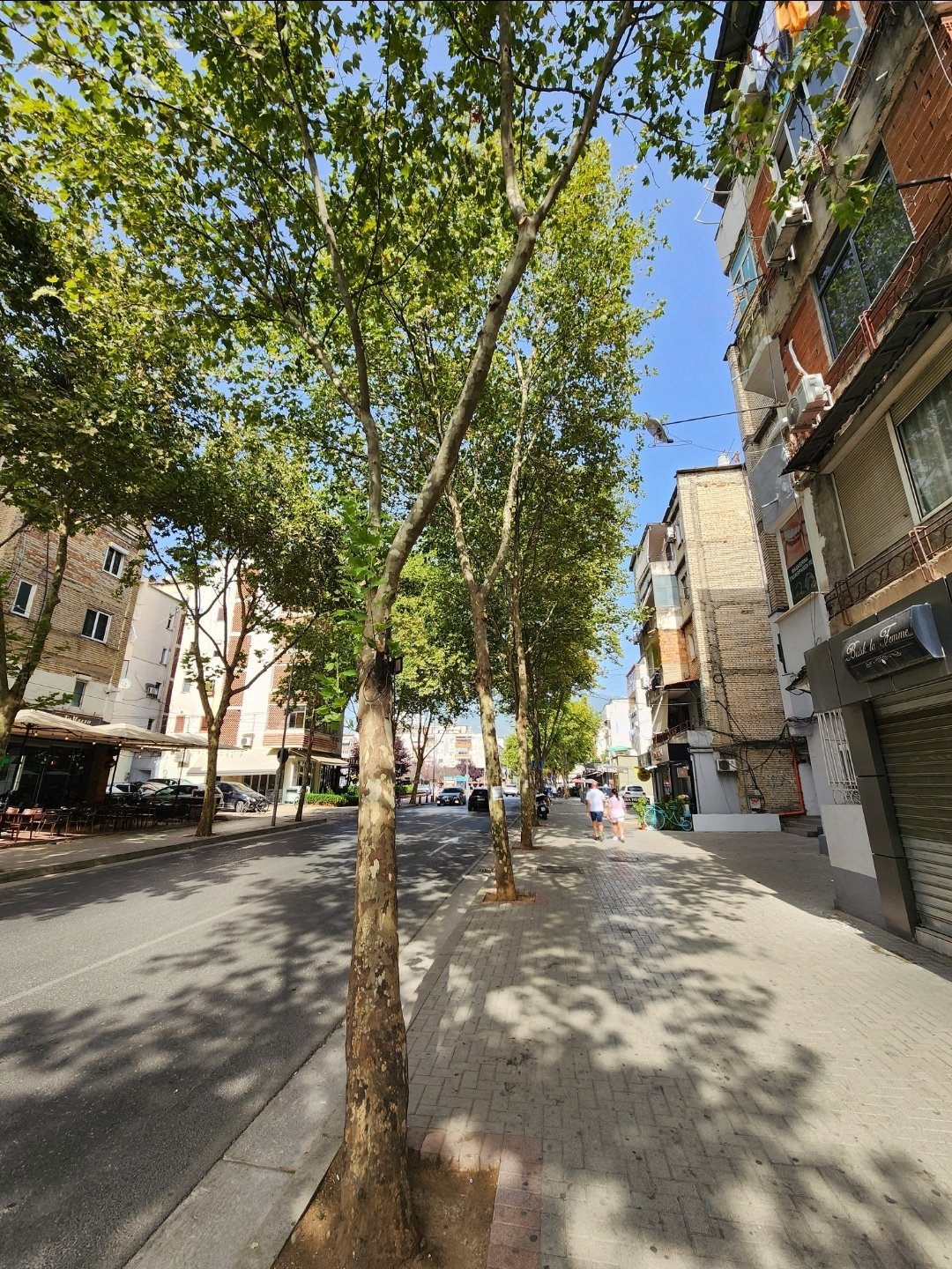 APARTAMENT 2+1 NE SHITJE NE XHAMLLIK