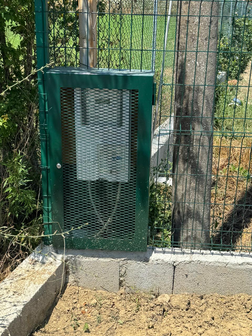 TOKE NE SHITJE NE PEZE