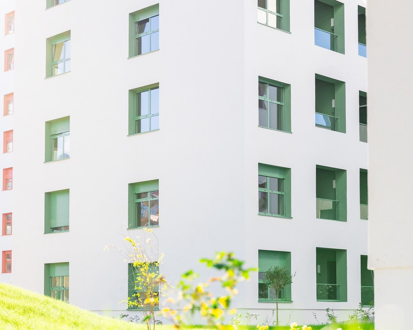 APARTAMENT 1+1 NE SHITJE NE ALI DEM