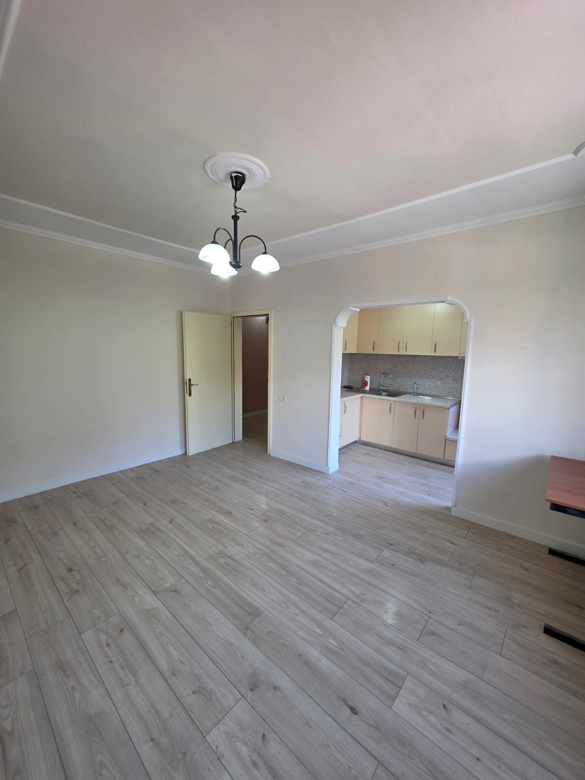APARTAMENT 1+1 NE SHITJE TE PALLATI ME SHIGJETA